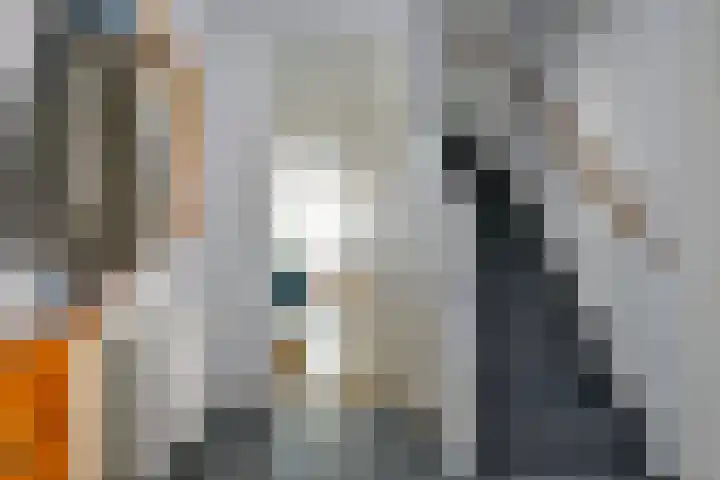 Bonte Specht 35 Emmen thumbnail 13