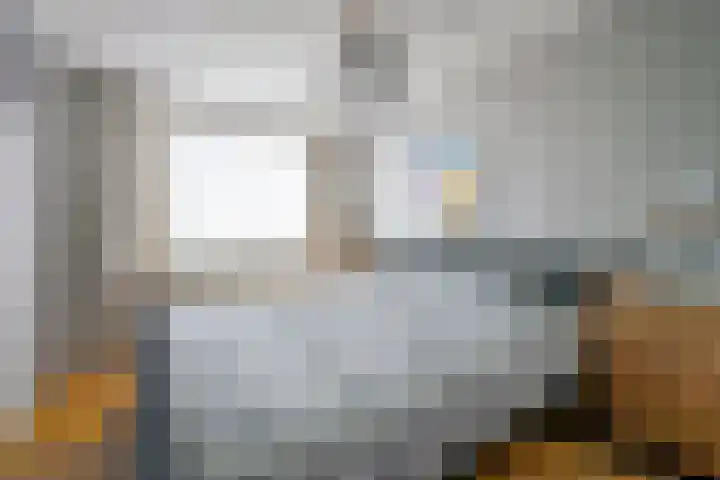 Bonte Specht 35 Emmen thumbnail 14