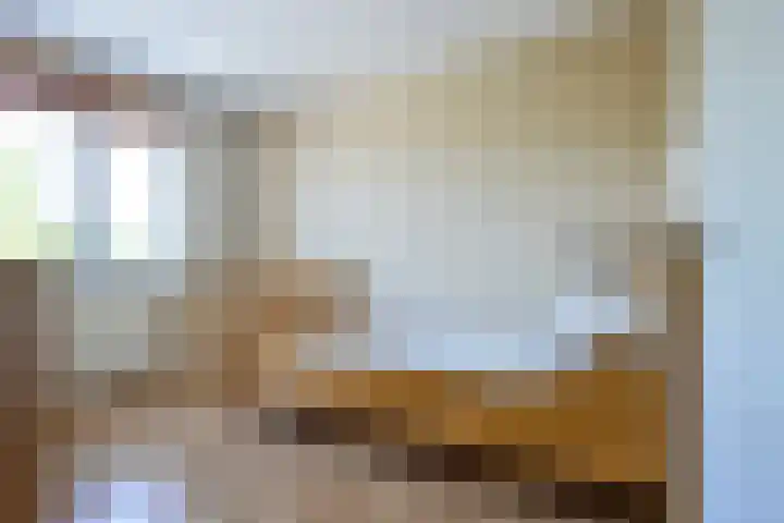 Bonte Specht 35 Emmen thumbnail 16