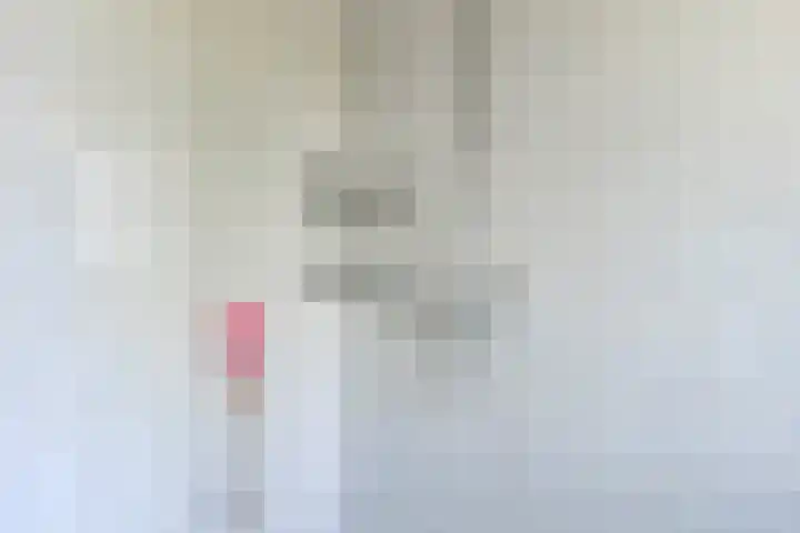 Bonte Specht 35 Emmen thumbnail 18