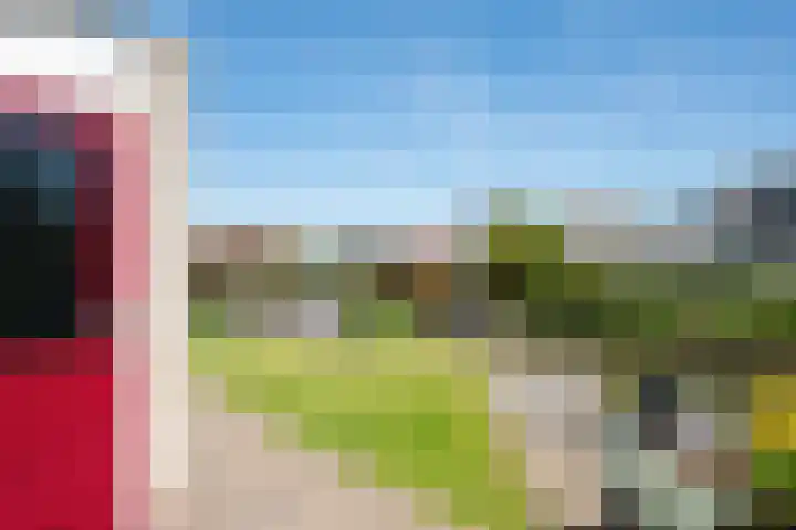 Bonte Specht 35 Emmen thumbnail 23
