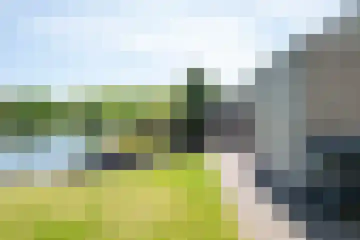 Bonte Specht 35 Emmen thumbnail 24