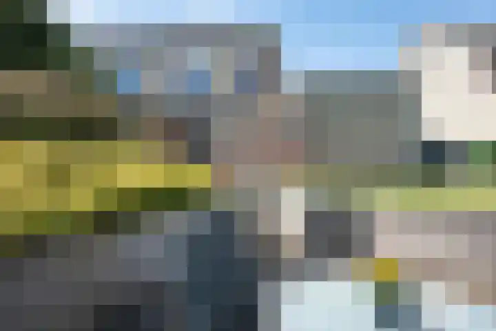 Bonte Specht 35 Emmen thumbnail 26
