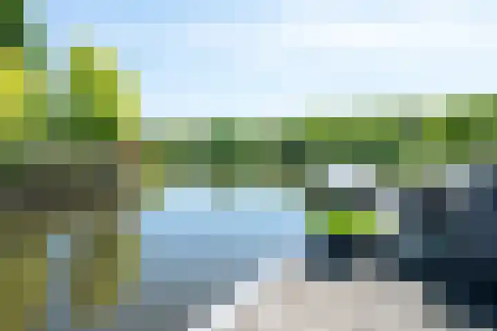 Bonte Specht 35 Emmen thumbnail 28