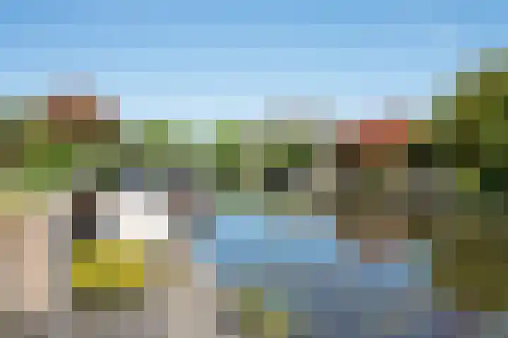 Bonte Specht 35 Emmen thumbnail 29