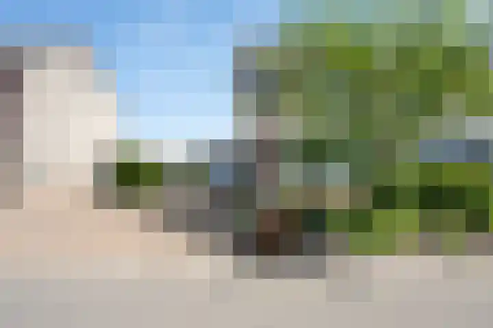 Bonte Specht 35 Emmen thumbnail 30
