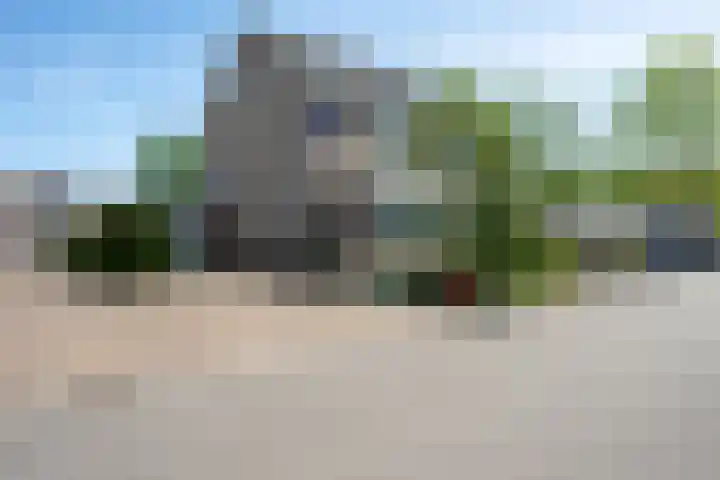 Bonte Specht 35 Emmen thumbnail 31