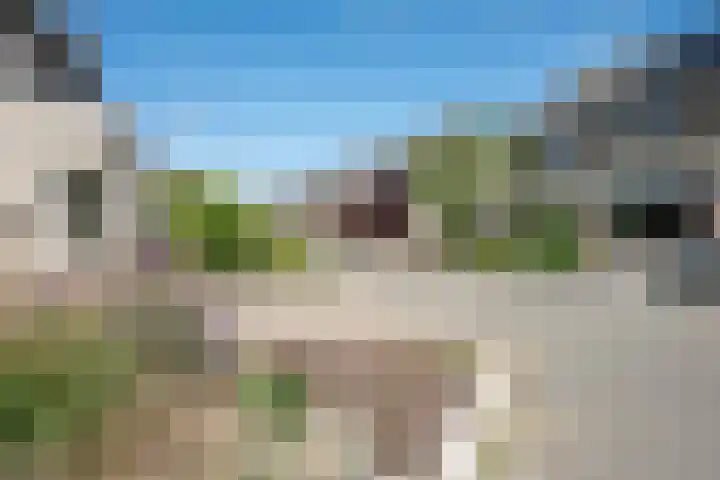 Bonte Specht 35 Emmen thumbnail 32