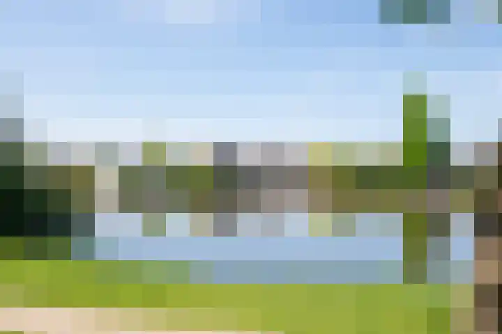 Bonte Specht 35 Emmen thumbnail 33