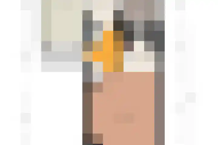 Bonte Specht 35 Emmen thumbnail 34