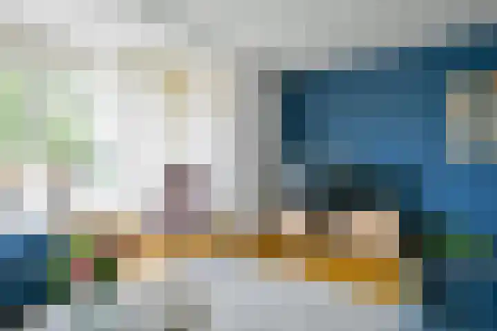 Bonte Specht 35 Emmen thumbnail 5