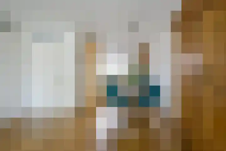 Bonte Specht 35 Emmen thumbnail 8