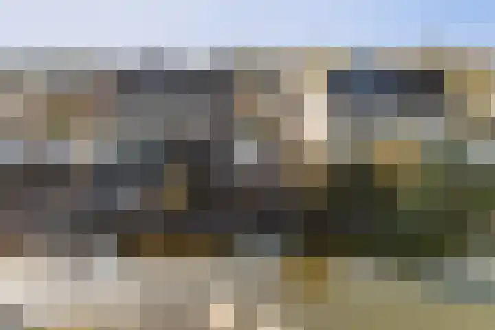 Bonte Specht 39 Emmen