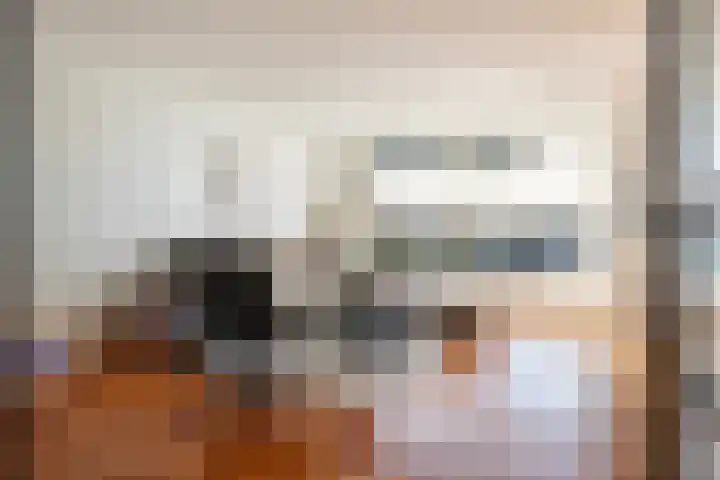 Bonte Specht 39 Emmen thumbnail 13