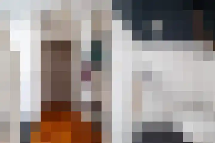 Bonte Specht 39 Emmen thumbnail 14