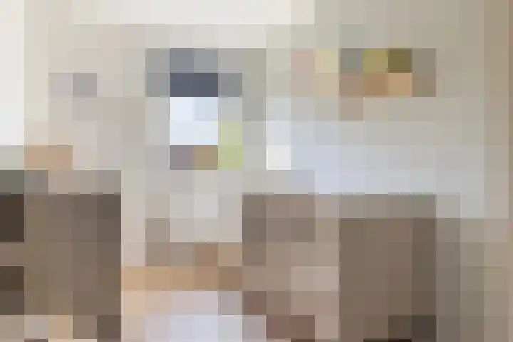 Bonte Specht 39 Emmen thumbnail 16