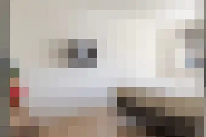 Bonte Specht 39 Emmen thumbnail 18