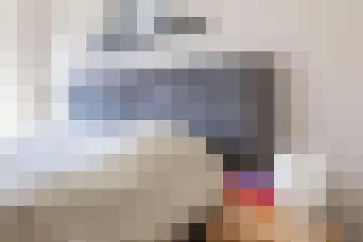 Bonte Specht 39 Emmen thumbnail 19