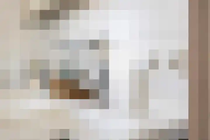 Bonte Specht 39 Emmen thumbnail 22