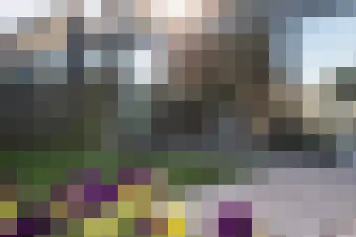 Bonte Specht 39 Emmen thumbnail 25