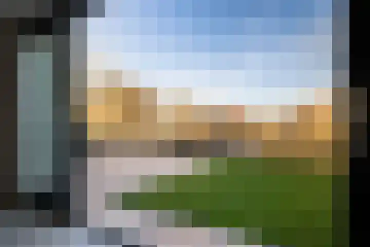 Bonte Specht 39 Emmen thumbnail 26