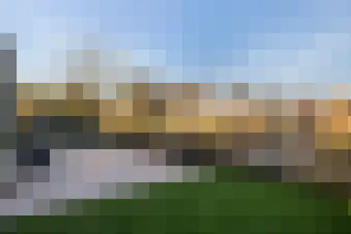 Bonte Specht 39 Emmen thumbnail 27