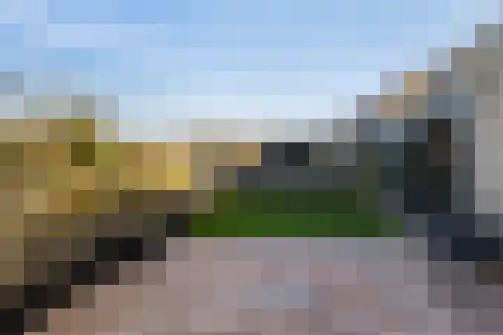 Bonte Specht 39 Emmen thumbnail 28
