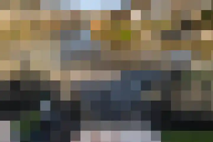 Bonte Specht 39 Emmen thumbnail 30