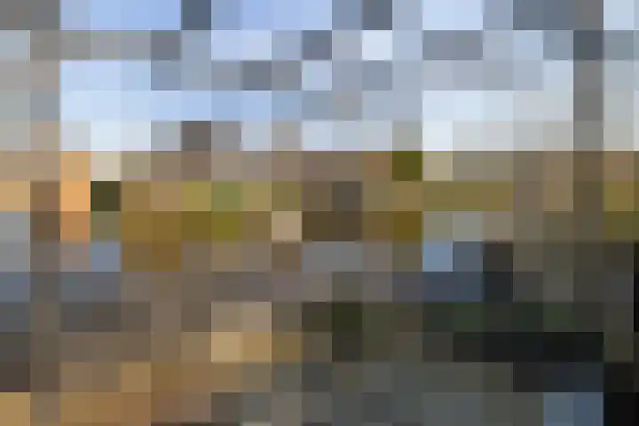Bonte Specht 39 Emmen thumbnail 31