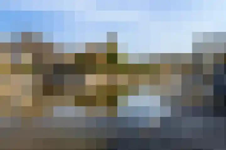 Bonte Specht 39 Emmen thumbnail 32