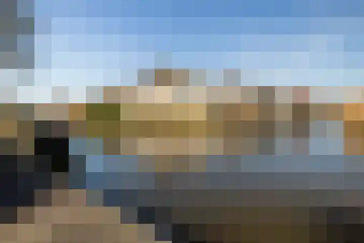 Bonte Specht 39 Emmen thumbnail 33