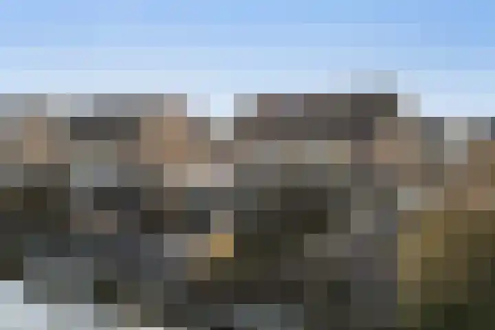Bonte Specht 39 Emmen thumbnail 34