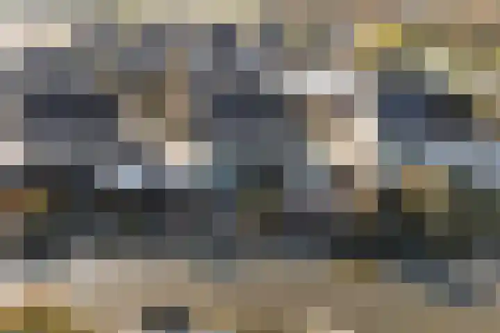 Bonte Specht 39 Emmen thumbnail 35