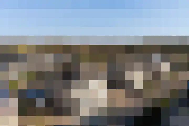 Bonte Specht 39 Emmen thumbnail 36