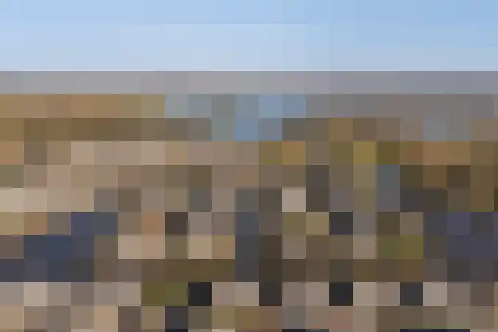 Bonte Specht 39 Emmen thumbnail 37