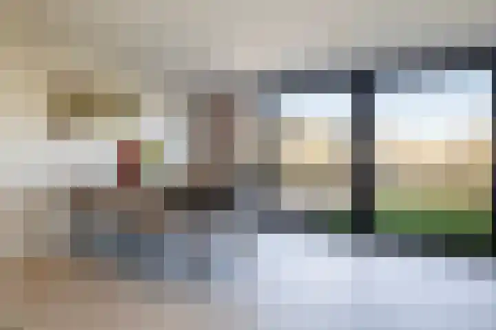 Bonte Specht 39 Emmen thumbnail 4