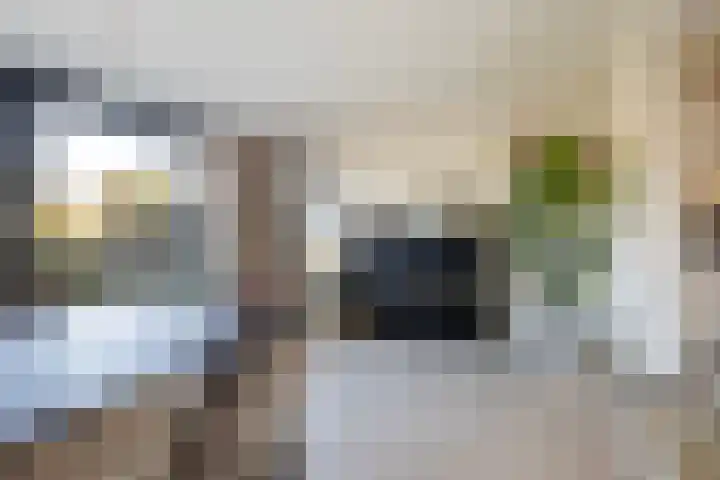 Bonte Specht 39 Emmen thumbnail 5