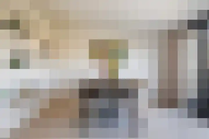 Bonte Specht 39 Emmen thumbnail 7