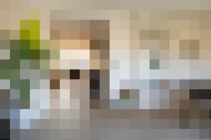 Bonte Specht 39 Emmen thumbnail 8