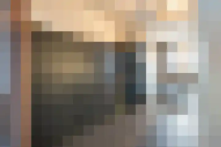 Bonte Specht 44 Emmen thumbnail 10