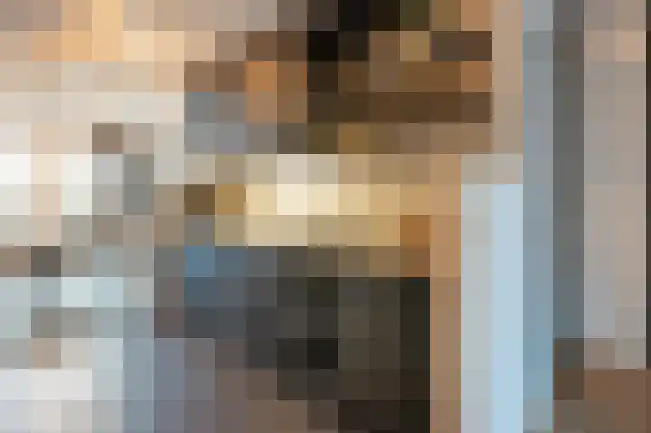 Bonte Specht 44 Emmen thumbnail 11