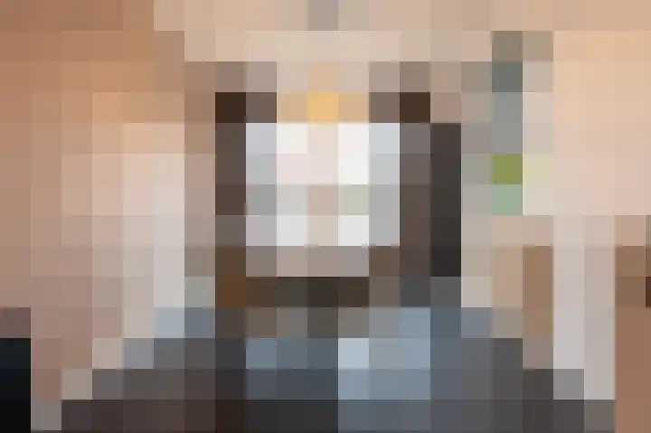 Bonte Specht 44 Emmen thumbnail 12