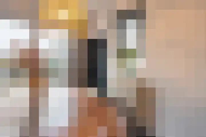 Bonte Specht 44 Emmen thumbnail 14