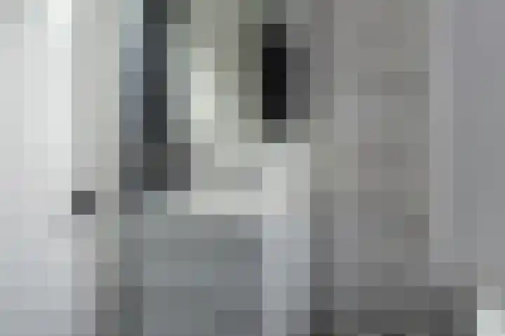 Bonte Specht 44 Emmen thumbnail 23