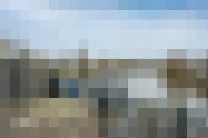 Bonte Specht 44 Emmen thumbnail 29