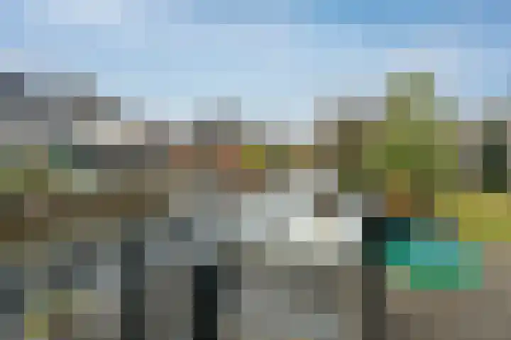 Bonte Specht 44 Emmen thumbnail 30