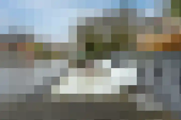 Bonte Specht 44 Emmen thumbnail 31