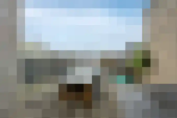 Bonte Specht 44 Emmen thumbnail 32