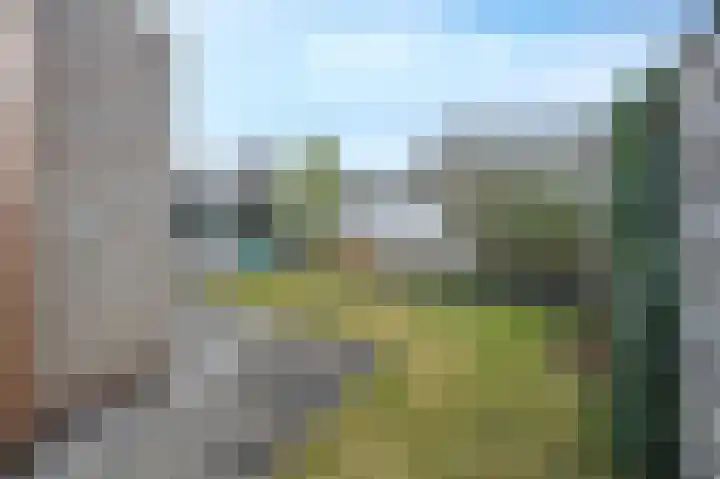 Bonte Specht 44 Emmen thumbnail 34
