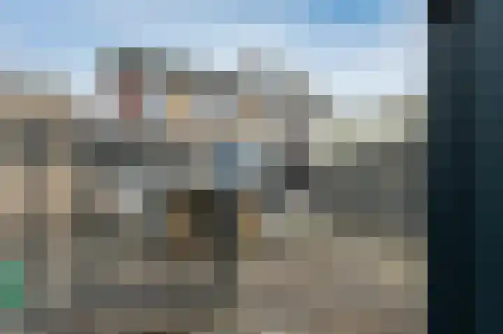Bonte Specht 44 Emmen thumbnail 35